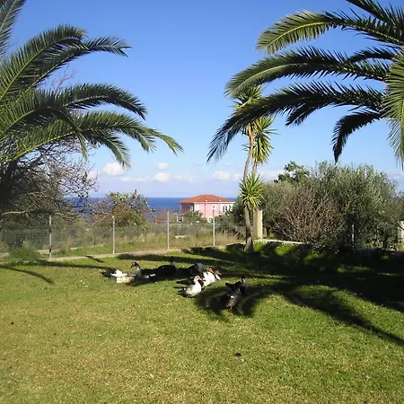Lejlighedshotel Nikolaos Skala Skala (Kefalonia)